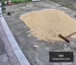电竞新品发,布会召开,玩家期待全,熊猫体育,熊猫体育官网,熊猫体育app,熊猫体育直播
